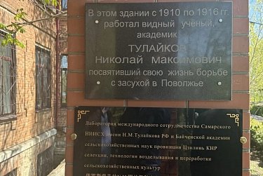 В Оренбуржье развивают семеноводство вместе с самарскими учеными